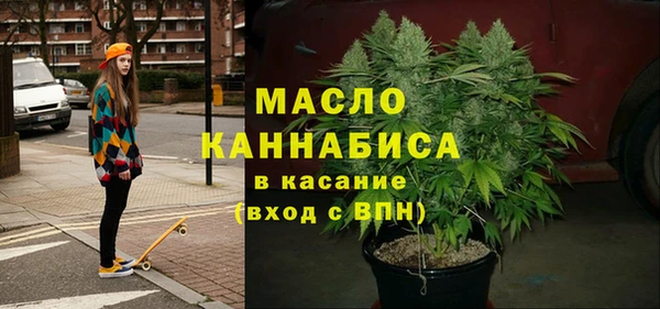 стаф Губаха