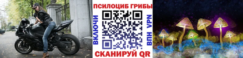 Псилоцибиновые грибы прущие грибы  хочу наркоту  Курчалой 