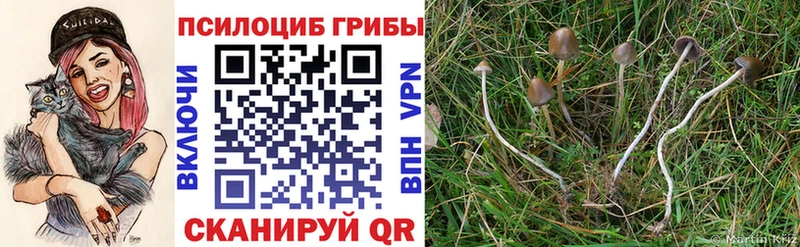 Псилоцибиновые грибы мухоморы Курчалой