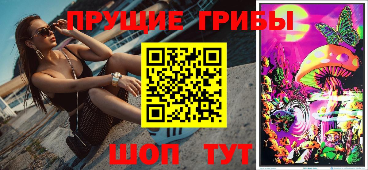 Альфа ПВП Курчалой