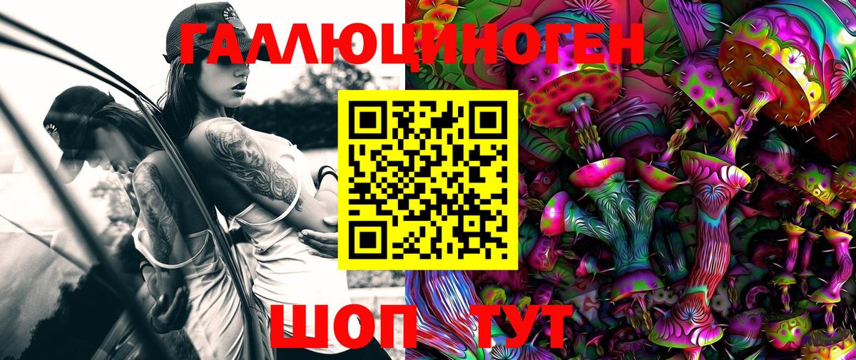 Псилоцибиновые грибы Cubensis  Вход с VPN  Галлюциногенные грибы Psilocybine cubensis  где можно купить   Курчалой 