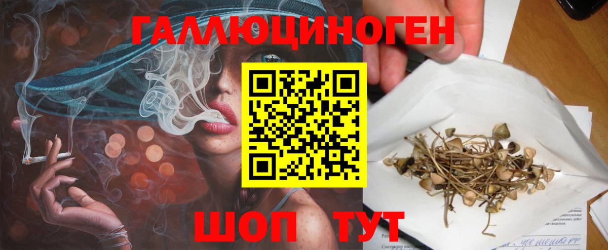 Псилоцибиновые грибы ЛСД Курчалой